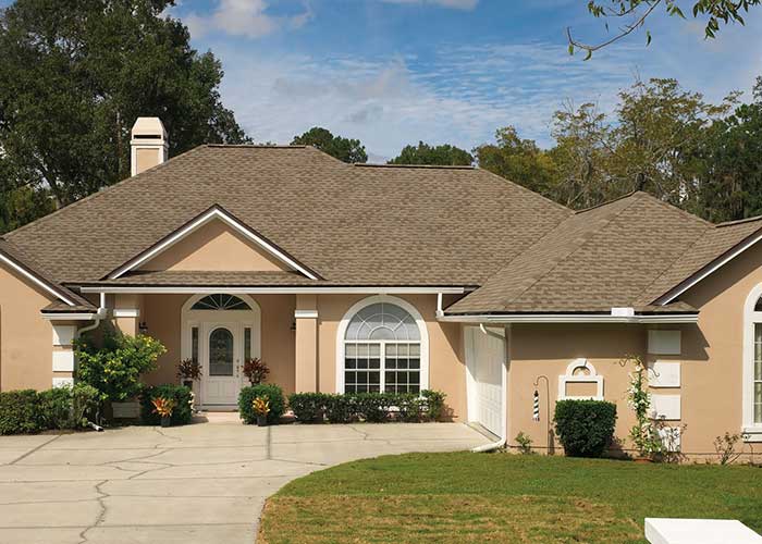 Simple roof home